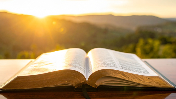 Jouw alineatekst (4)